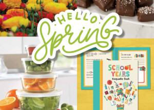 Hello Spring 2024 brochure